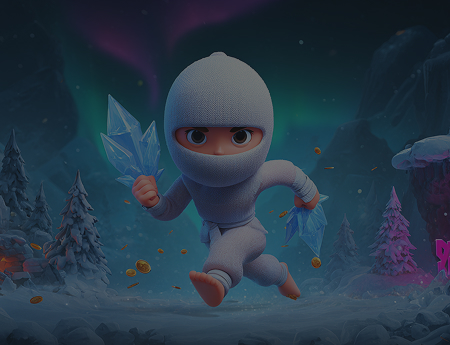Ninja Crash